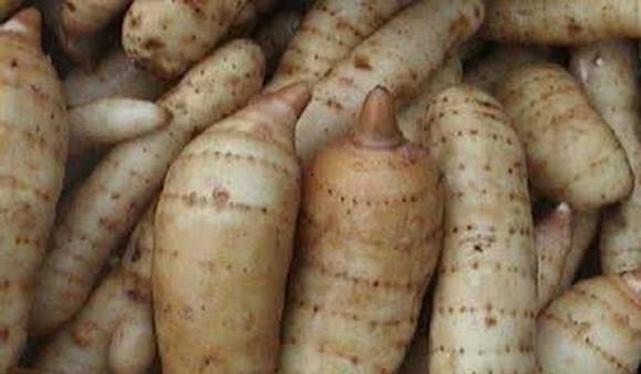 农村深山中的一种草药,无根无叶会跑又会飞