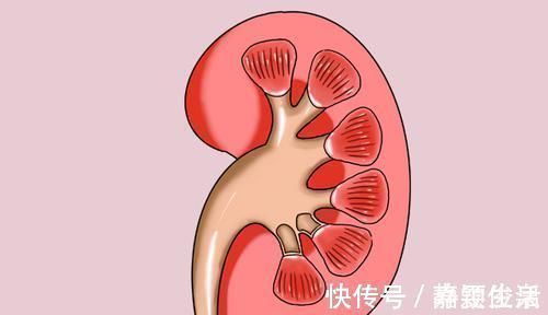 凝血功能|穿刺活檢會讓癌細胞擴散？哪些人需要做穿刺活檢？