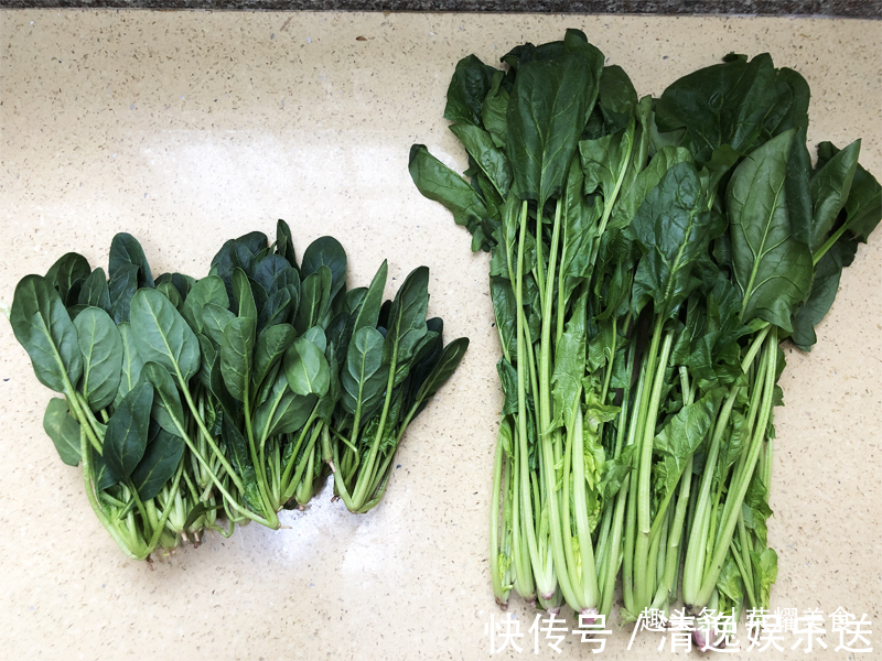买菠菜时,选“长”还是选“短”的牢记“3不买”,别随便买了