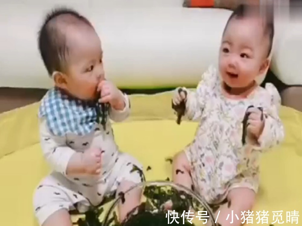 双胞胎|双胞胎坐在盆前吃海带,画面让人无法直视,有强迫症的看不了