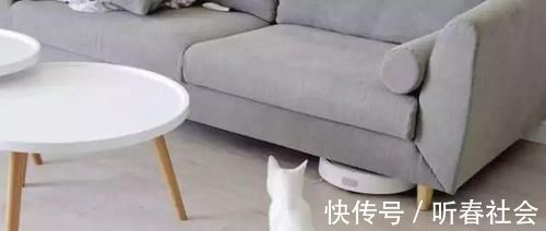 防水|新房入住几年总结出来13条实用装修经验,你可别再掉坑了