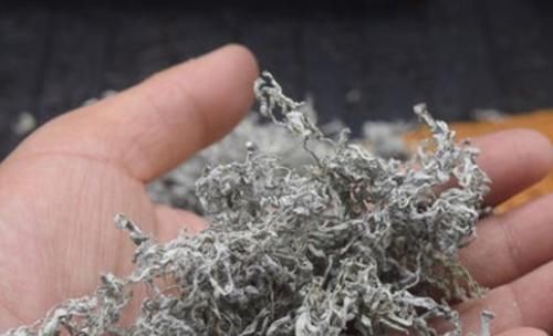 濕氣多,別不管!此3物在飯后吃,清濕毒養(yǎng)精氣,全身更舒暢