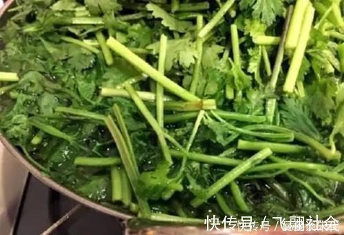 大厨|储存香菜,别再放冰箱了!20年大厨教你,放再久都不坏,翠绿新鲜!