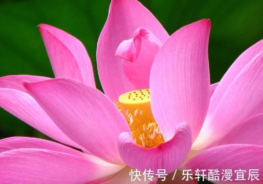 天锁|步入10月，4属相吉星庇佑，桃花多多，爱情美满，日子红火