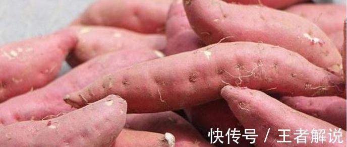 大白菜|适合小雪节气吃的3种食物，营养丰富，滋润身体，早吃早好！