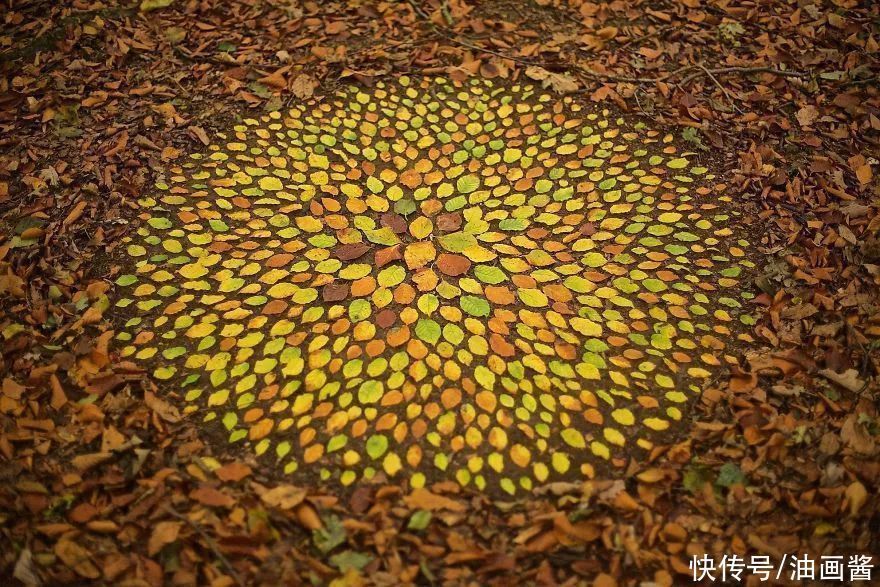 詹姆斯|艺术家用石头和树叶“作画”,网友直呼:太解压,治愈强迫症