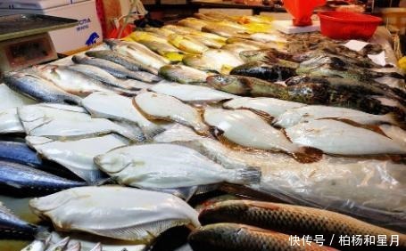 市场上这6种鱼放心购买,都是人工捕捞海鱼,营养丰盛,口感极佳