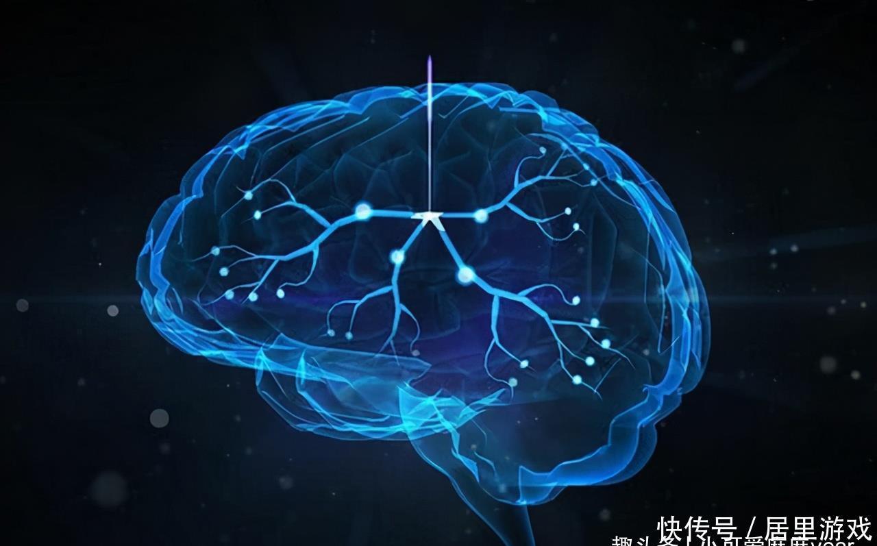 研究|哈佛研究:孩子一生有3次“变聪明”的机会,家长至少要抓住一次