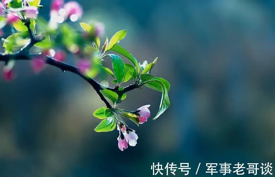 淑女!优雅,是一种岁月