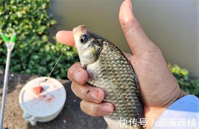 冬季野钓不想空军避开4大误区,4种天气不出钓,试试这2种钓法