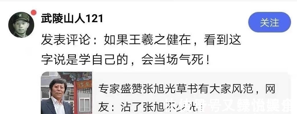 神来之笔@张旭光草书被赞“神来之笔”,网友吐槽:专家相互吹捧而已!
