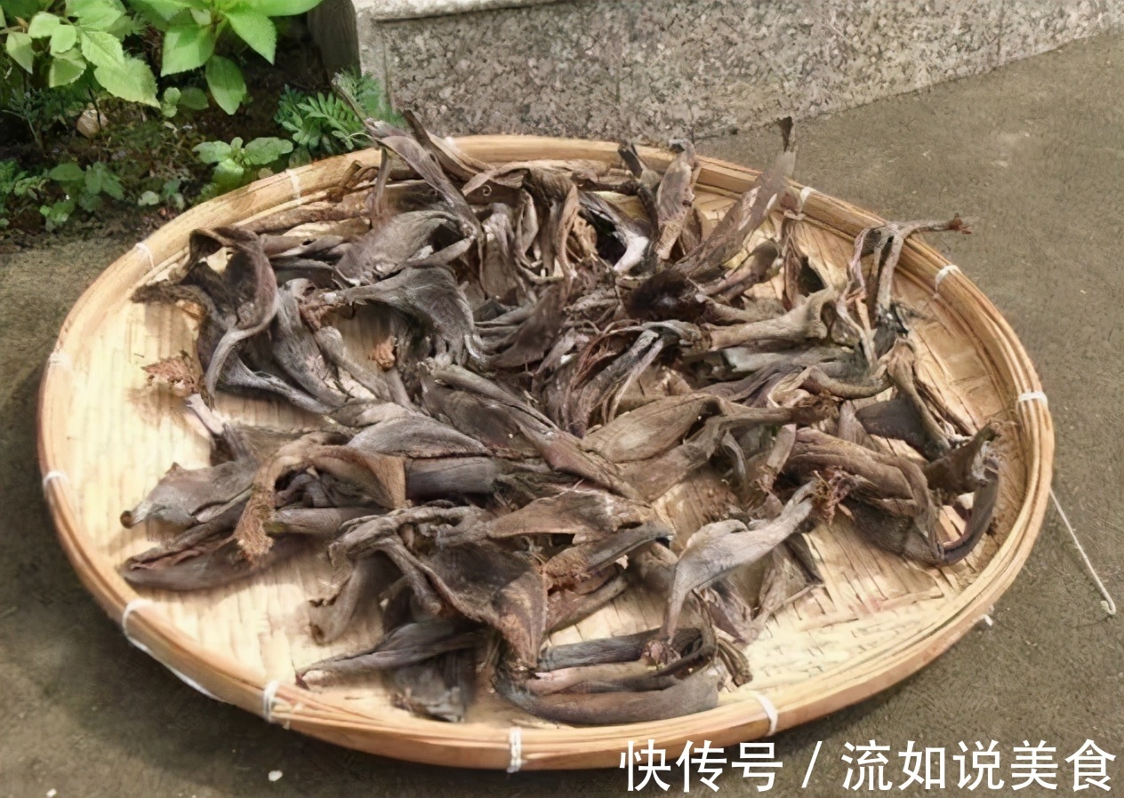 香蕉作为水果太寻常，但皮却是养花的好东西！