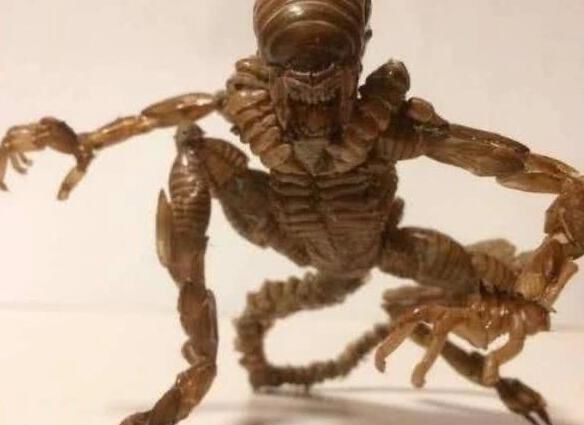 手办|万物皆可手办,知了做出异形的感觉,小龙虾壳变身恶魔龙