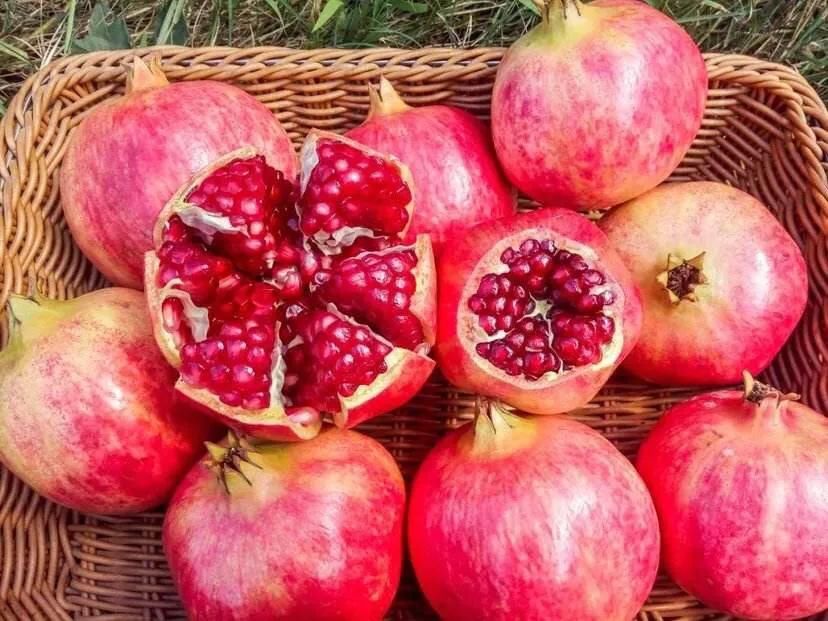  秋季|入秋多吃这六种金牌水果，孩子健康少生病，建议收藏！