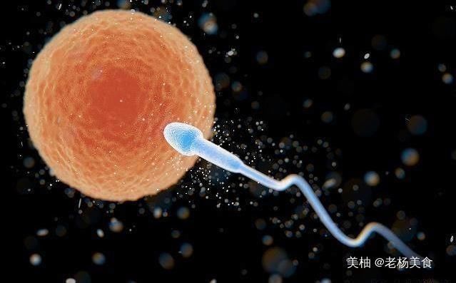 怀孕|卵子着床的那一刻,女性往往会有这5种感觉,恭喜你备孕成功啦