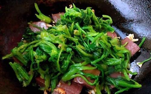冬天,吃大鱼大肉不如它,简单炒一炒,补血补铁,不懂太可惜