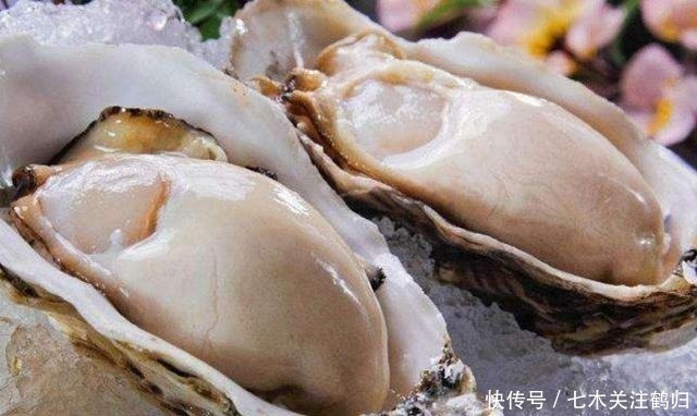 叫生|明明长得一样,为什么一个叫生蚝,一个叫牡蛎