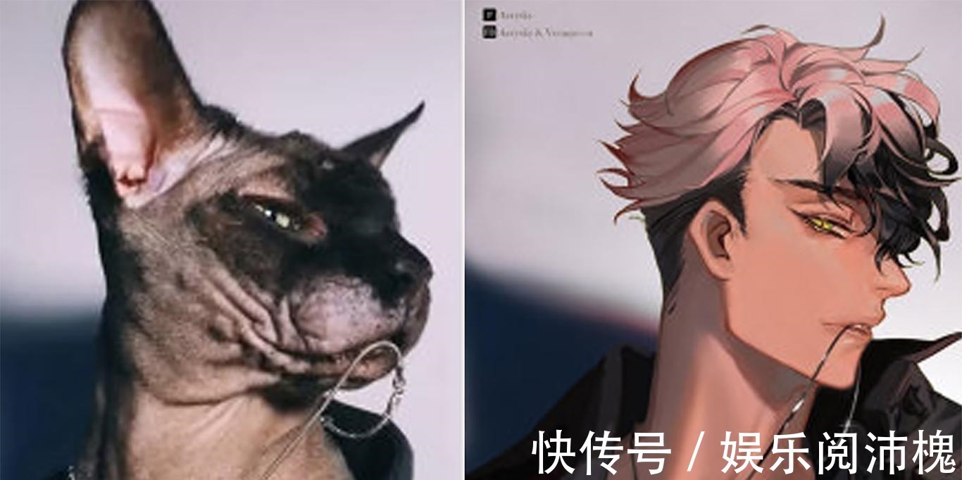 当动物被画师二次元化，可盐可甜可帅气，还是纸片人更让人心动