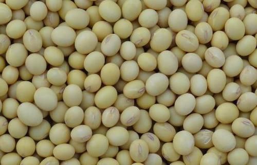 50岁男子患上脑梗塞,医生经常这样做,对身体危害很大