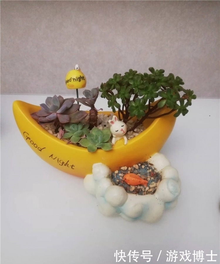 一肉一世界,一方一净土