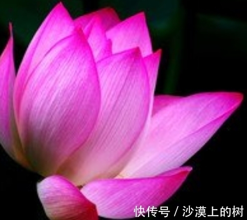 属兔|10月下旬，4属相吉星傍身，机遇不断，运势节节高升，生活完美