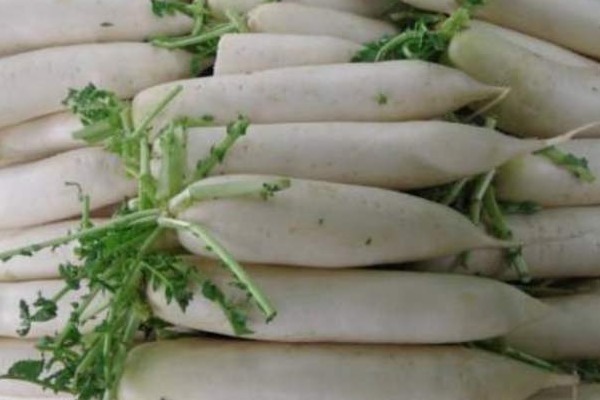 化瘀散结|有甲状腺结节的人,常吃4种食物,化瘀散结,预防甲状腺疾病