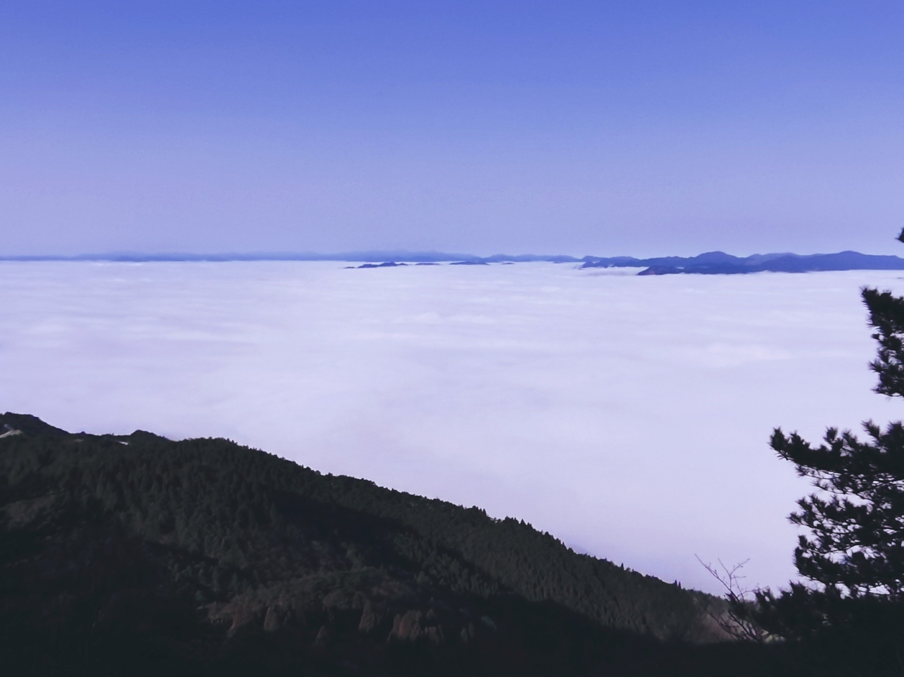 答应我！来景宁敕木山赴一场云上温柔好吗？