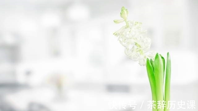 人到中年|年过四十,学会平衡