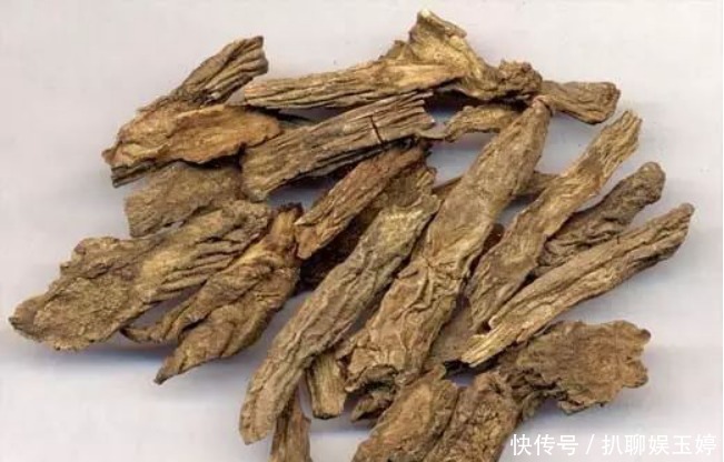 背后|古人称川断为续断是有原因的,它来自一段传奇故事