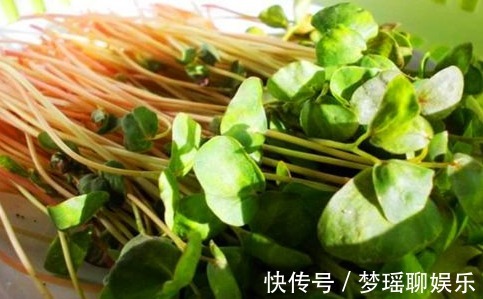 食物|女性过了40岁,坚持常吃的食物,改善肤质,补充营养、滋补身体