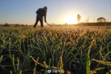 霜降&今日霜降，丹枫如火