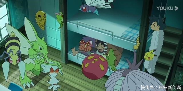宝可梦剑盾6集菜鸟训练家小豪出道,收服精灵不打全靠扔球!