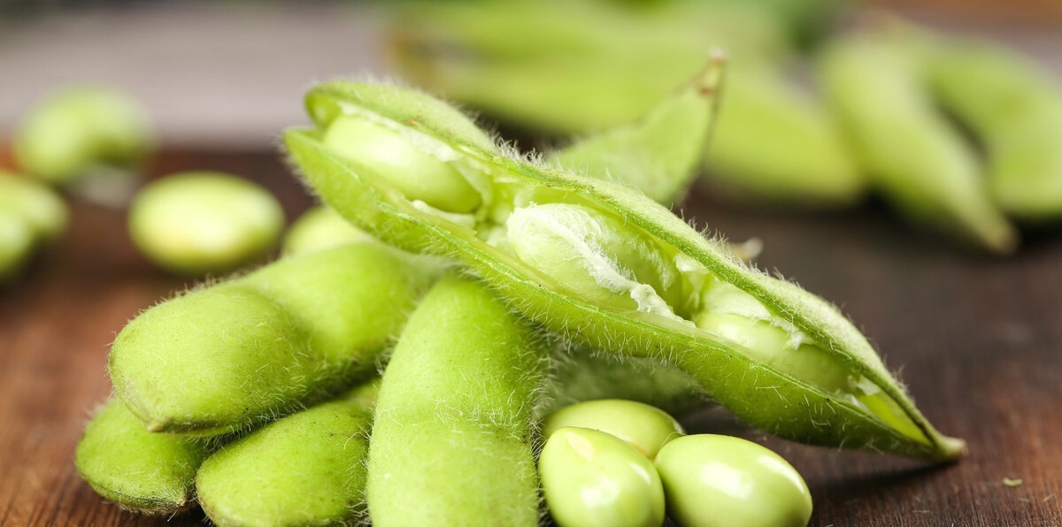 煮毛豆时,牢记3个小技巧,毛豆翠绿好吃,不发黄还特别入味