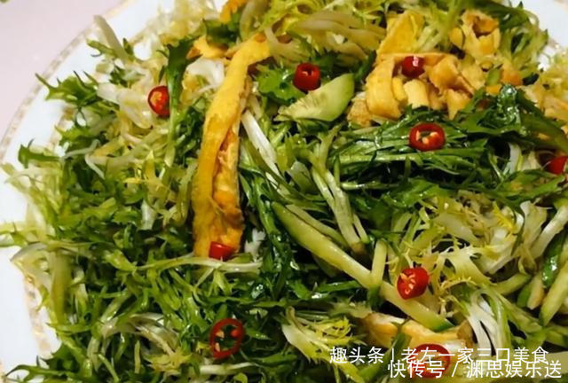 解馋|苦菊简单好吃做法,我家一周吃3次,营养又解馋,多吃也不怕胖