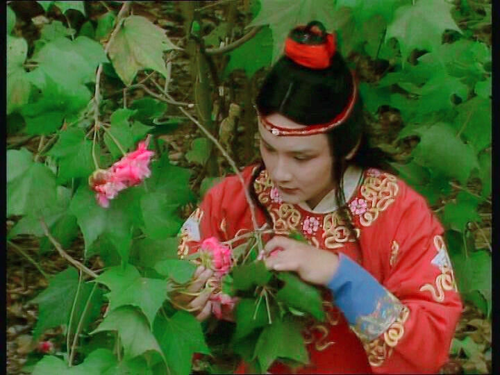 经典之骂|《红楼梦》中的“经典之骂”有何玄机？