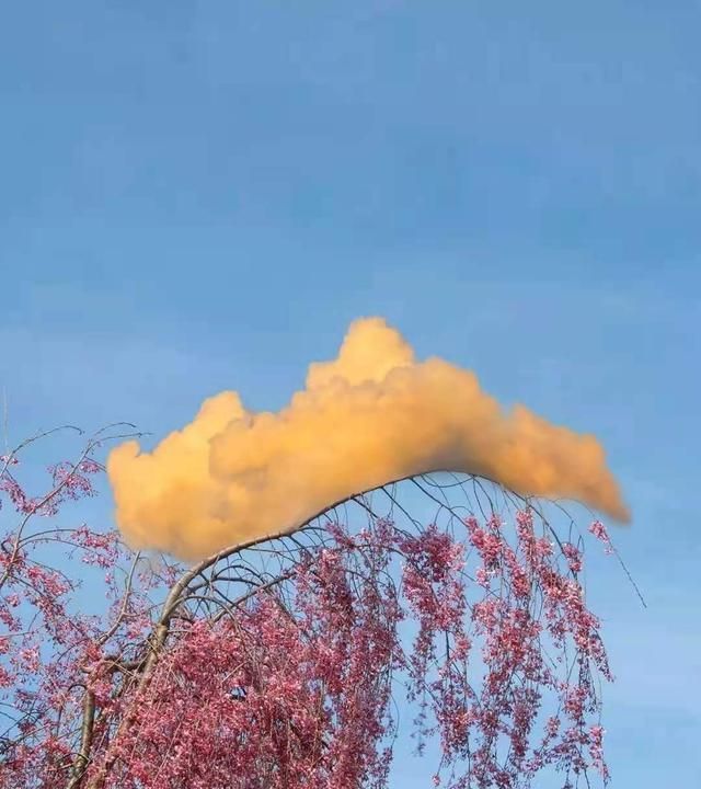 声色@当你对生活失望时,不妨多读读10句话