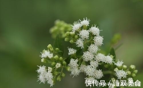 孙后代|在这吉日出生的朋友，注定大富大贵，而且孙后代都会非常富有