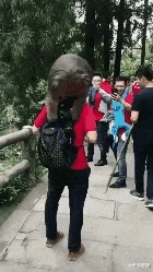 |搞笑GIF段子:找到板凳师傅,估计能把这做成一个开天锤