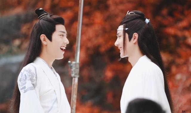 无数|《天官赐福》定了为什么明知道不可能,观众还是期待肖战王一博