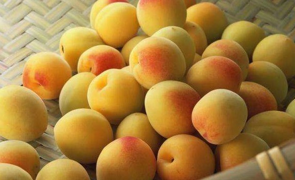 杏仁油|它具有润肺定喘，生津止渴，清热解毒等5大作用，营养价值极高！