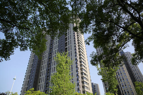 售楼部|同一栋楼,为何“西户”要比“东户”更抢手?建筑学家给出答案