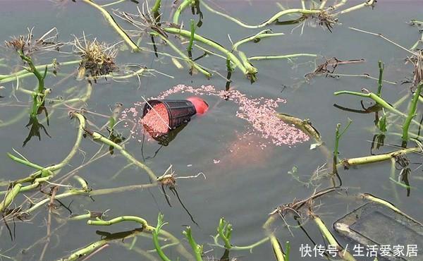 冬季钓鲫鱼，这样养窝和补窝，让窝中鱼越来越多，上鱼不间断