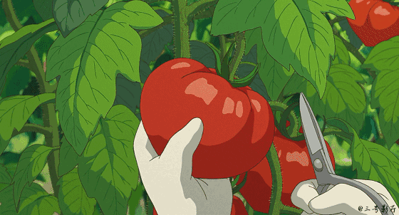 1個(gè)西紅柿能防4種癌？警惕！有一種會(huì)致癌，千萬別吃…