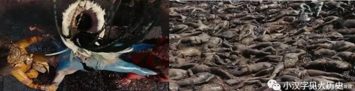 中所|甲骨文中所见的大历史:恐怖的人祭和人殉