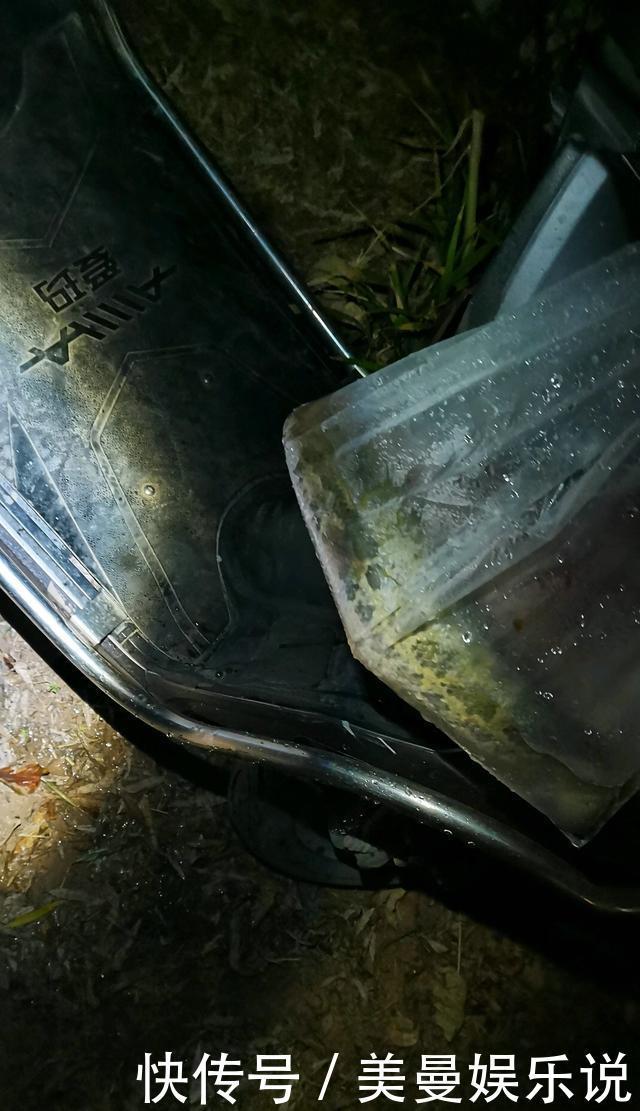 药鱼|南康一河道,夜晚大量河鱼靠岸,附近钓鱼人:好几斤的大鱼都有