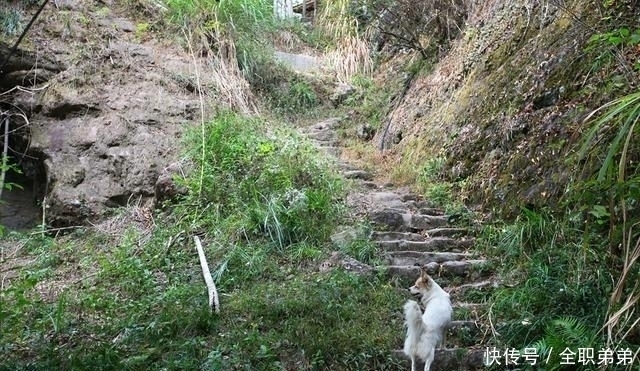 自驾泰宁，看丹霞地貌读沧海桑田的变演，探寻深山中遗失的古村