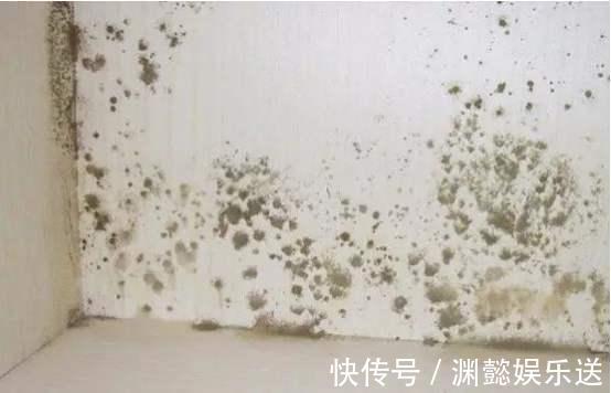 墙面|墙面污渍、发霉不易清理，掌握4点小技巧，墙面光洁如新