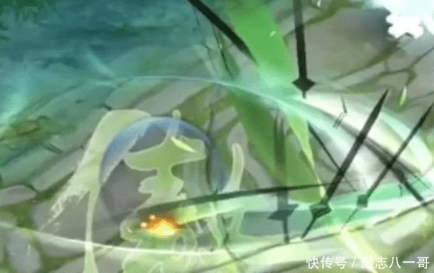 改名卡