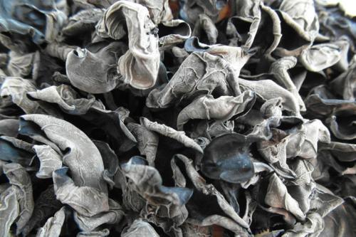 木耳科|40岁女性要坚持吃3种食物，补充营养、延缓衰老，好处多多