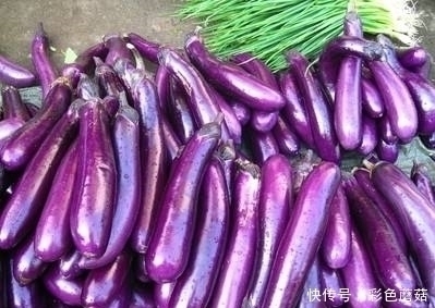 墨鱼|吃完茄子要当心,注意食用禁忌,却有很多人不清楚